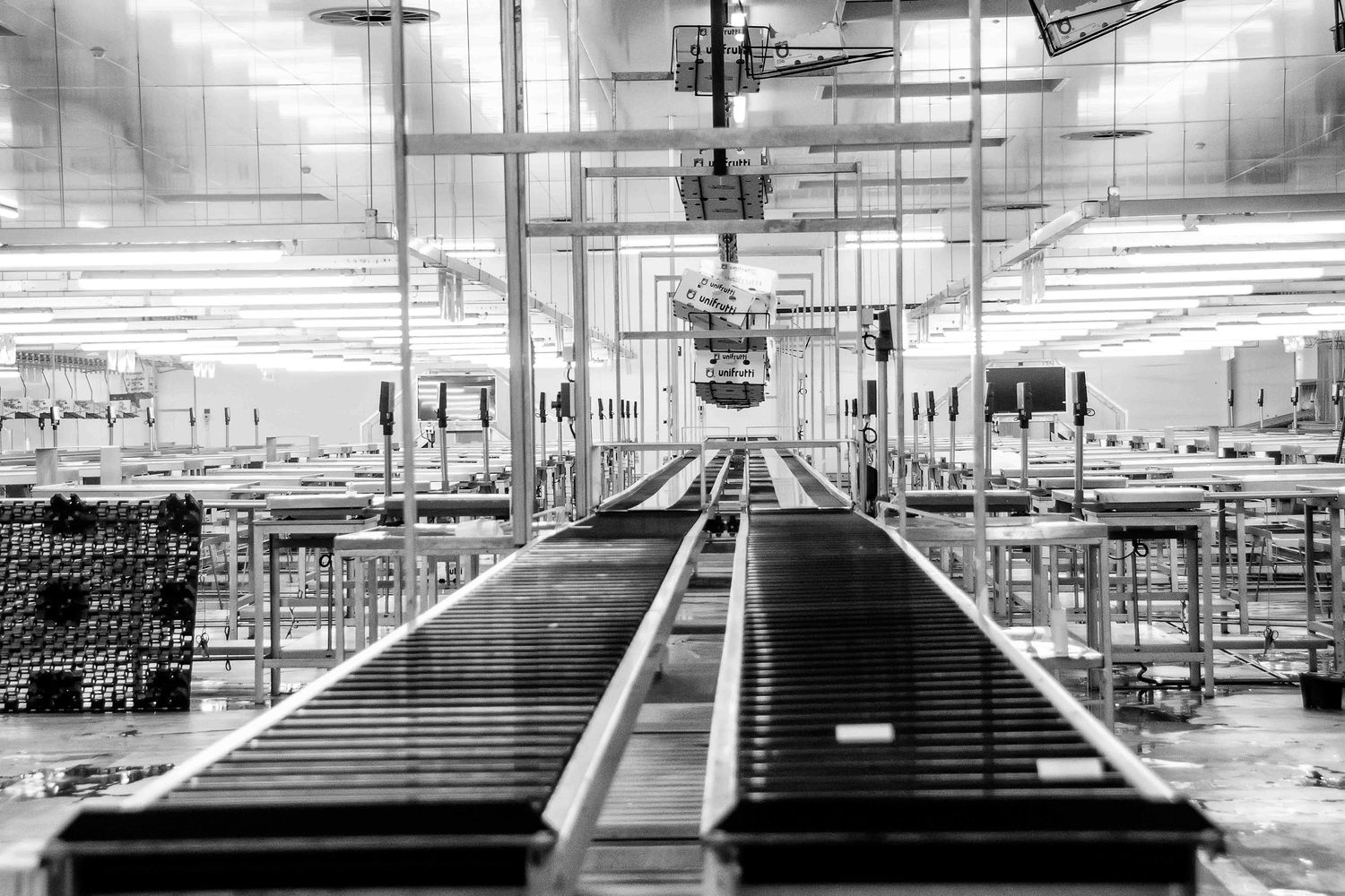 Production line